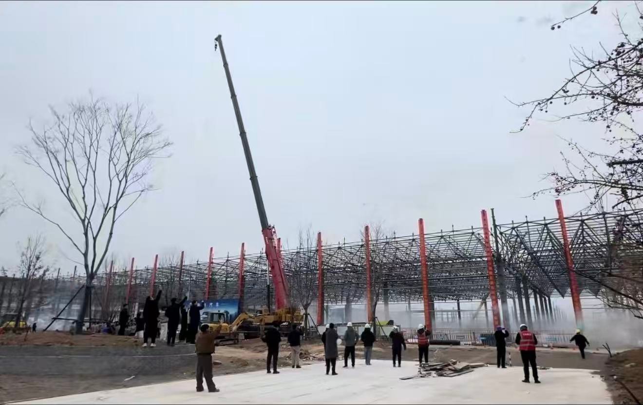 Space frame erection with mobile crane